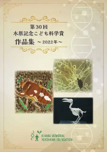 第30回（2022年度）表紙画像